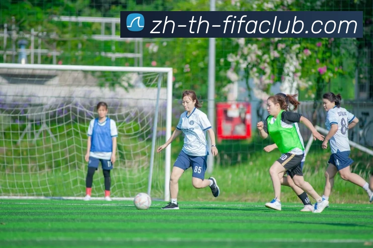 多媒体互动体验